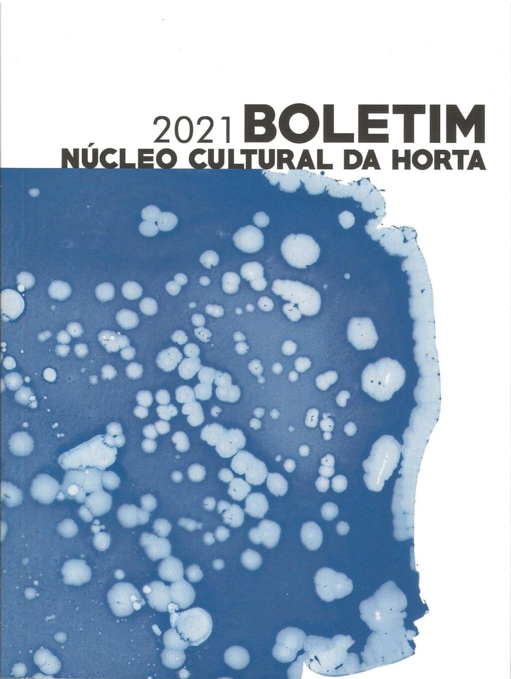 BOLETIM 2021 (Nº30) DO NÚCLEO CULTURAL DA HORTA